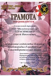 ГРАМОТА "За оказание содействия войскам правопорядка в проведении благотворительных акций" 2008 год